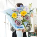 아코르테 이미지