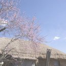 오스낵