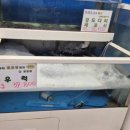 돔수산활어상차림