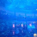 코스타몰 | 신혼여행] 경유지 두바이 1일차 두바이몰 후기 (포토스팟 / 딘타이펑 / 코스타커피 / 부르즈 할리파)