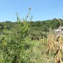 율촌농장 이미지