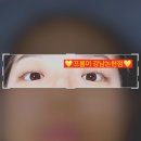 강남속눈썹펌 프롬미 강남논현점 방문 후기 자연스럽고 또렷한 눈매 완성