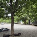 유명산밸리 캠핑장 | 일기 #20 대형견 동반 가능한 계곡 + 그늘 맛집📍경기도 가평 유명산밸리캠핑장 🏕️ 스노우피크 리빙쉘롱프로