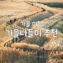 외길농장 | 가을꽃과 들판이 부르는 가을나들이 여행지 BEST 5