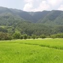 수일 농장 이미지