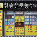 오륙도사랑부동산공인중개사사무소 | 대연동 원룸, 반려묘와 함께할 집을 찾다 (참좋은부동산 후기)