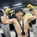 링 종합격투기 이미지