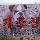 정오농장 이미지