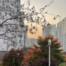 서희황금공인중개사사무소 이미지