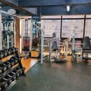 바나나휘트니스 이미지