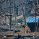 기다리다 이미지