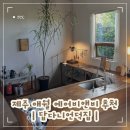 언덕아래집 | 제주 애월 숙소 추천 답다니언덕집 서쪽 독채 에어비앤비 후기