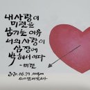 드림존 이미지