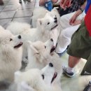 겨울이 머무는 집 이미지