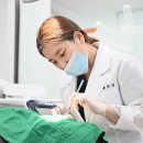 치아세상치과의원 이미지