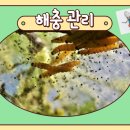 모든방역하우스설비