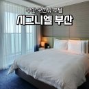 시그니엘짐 | 부산여행 해운대 오션뷰 호텔 추천 시그니엘 부산 미포하버뷰 호캉스 솔직 후기