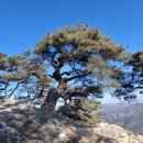 강촌스카이 | (검봉산 산행) 강촌의 검봉산에서 인생 의미를 되새겨보다