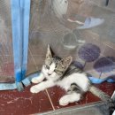 신계가든민박 이미지