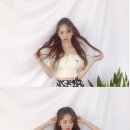 비비드림 이미지
