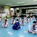 용인대 한미태권도 이미지