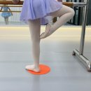 플레르발레학원 이미지