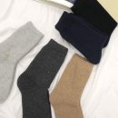 주식회사다올 이미지