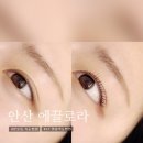 본원초등학교 | 안산 속눈썹펌 에끌로라 후기｜뷰러 없이도 또렷해진 자연스러운 속눈썹펌