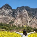 제주안덕농협주유소 | 제주 주유가격 실시간 확인 – 산방산 여행자 추천 꿀팁