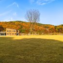 입곡 멀티플 센터 이미지