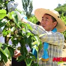 이창희농장 이미지