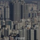 강남-032 이미지