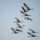 기업공장전문부동산중개 | 양산공장임대/공장727㎡(220평)임대/공장창고전문/양산기업부동산중개/055)383-3737