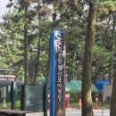 몽산포 야영장 | [태안해안 국립공원] 몽산포 야영장 5회차 후기