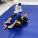 스웻바디라이프mma주짓수킥복싱 이미지