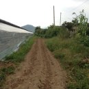 국대농장 이미지