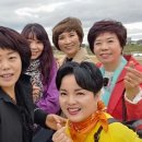 소나무헤어아트 이미지