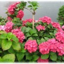 명품베스트 이미지