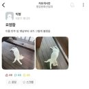 청강문화산업대의 고양이 이름 이미지