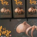 마젤리