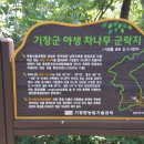 안평역 이미지