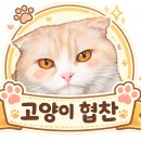 에스클래스 | 에스클래스 브라운벤토나이트 사용후기