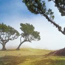 소소한 행복 이미지