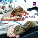 지윤농장 이미지