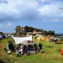 하도 해변 | 제주 하도해변야영장 – ★4.3 · 은은한 바람 캠핑