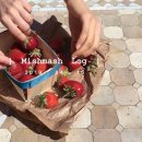 라곰카페 이미지