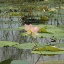 서도초등학교 볼음분교 이미지