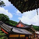 세조대의 회장저고리 | 역사의 흐름을 한눈에 볼수있는 감동의 물결 월정사 성보박물관