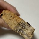[내돈내산/빵택배] 머드스콘 후기 (단호박씨앗호떡,피넛버터샌드,베리초코칩,OXO,통밀츄러스,귀리초코칩...