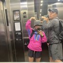 콜마트 | 호주 데이 6